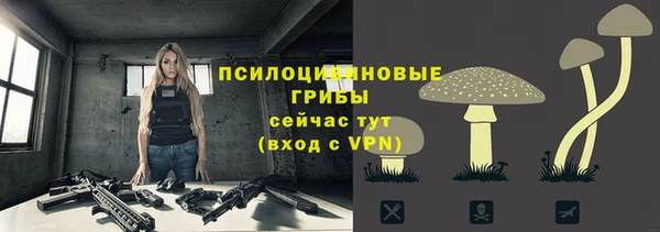 ешки Навашино