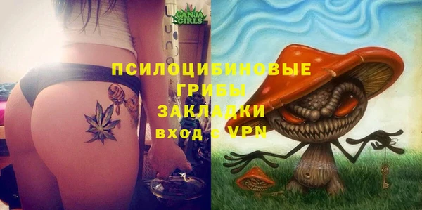 ГАЛЛЮЦИНОГЕННЫЕ ГРИБЫ Михайлов