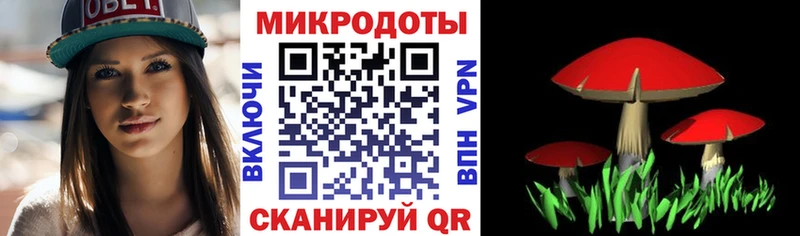 Галлюциногенные грибы мицелий  Шарья 